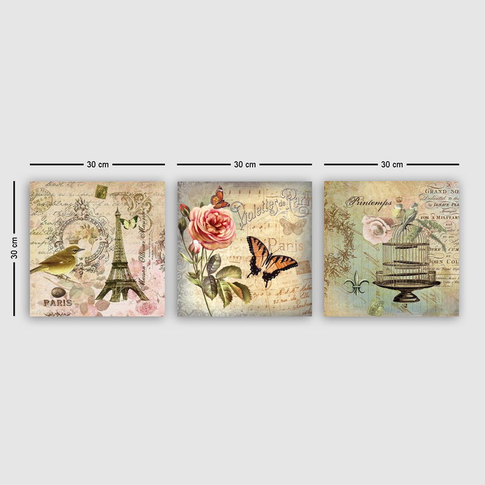 Wallity Conjunto de 3 Pinturas Decorativas en Lienzo Multicolor